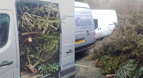 e Power Truck with Christmas Trees